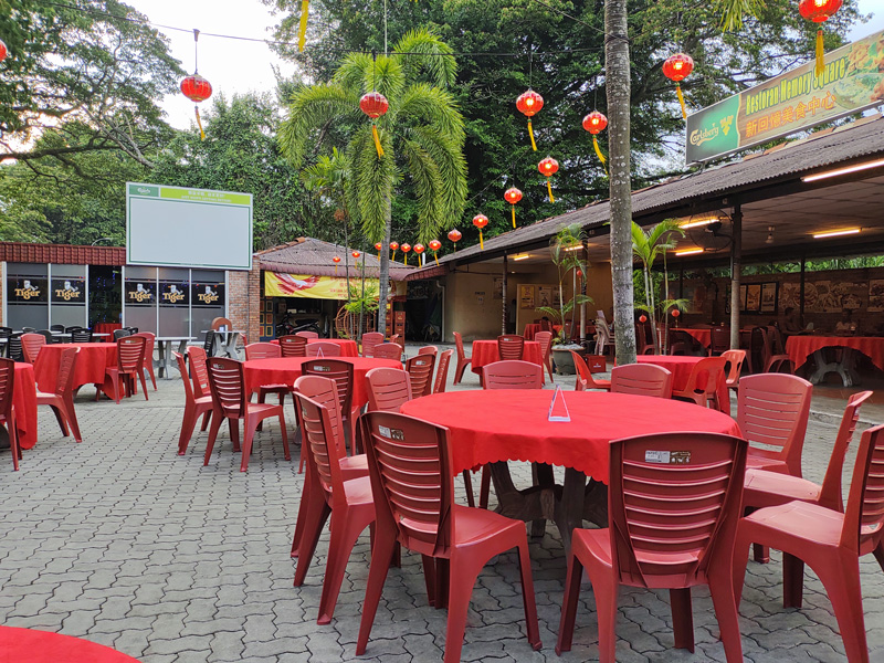 ジャングルの食堂夕食9a