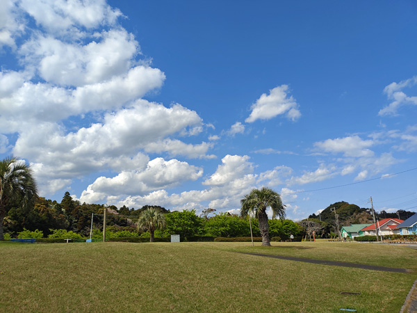 公園