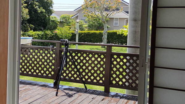 シジュウカラの巣箱