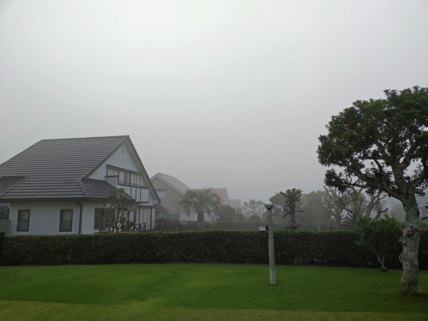 霧の朝１